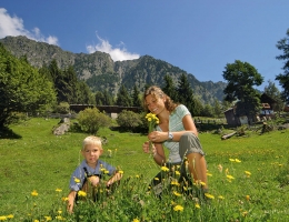 site:upload/Gallerie/Blumenpfluecken_Leiteralm.jpg