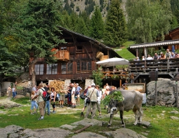 site:upload/Gallerie/Almabtrieb_Leiteralm2.jpg